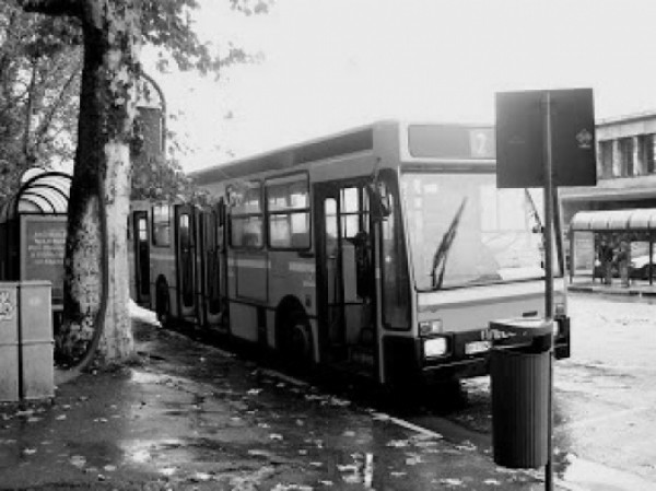 bus