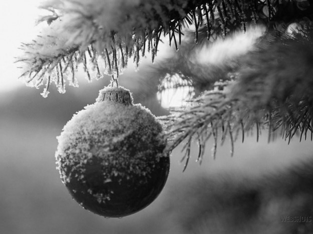 Manifestazioni di Natale