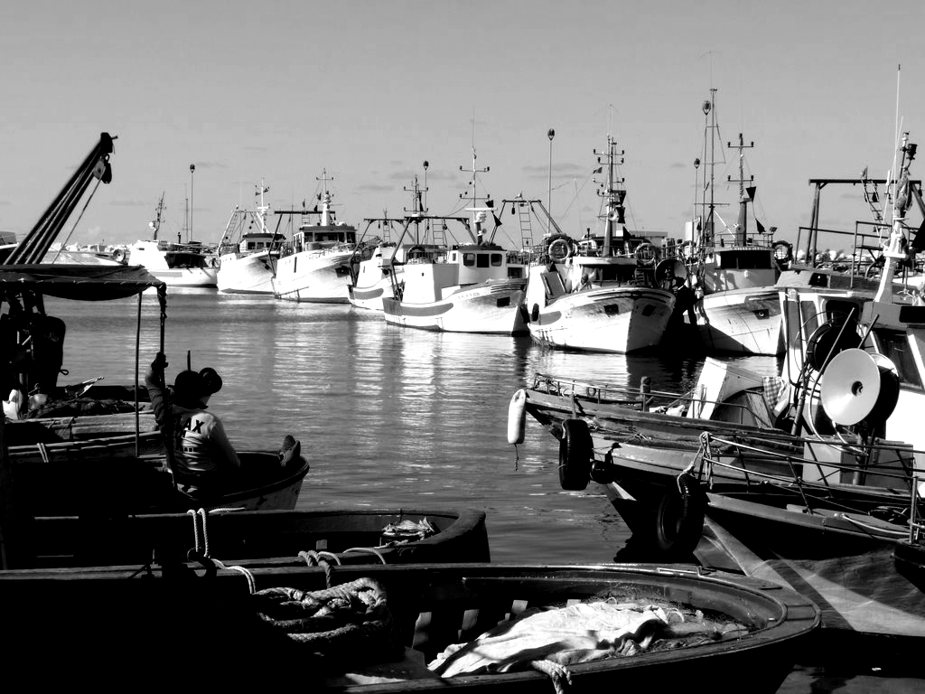 Porto peschereccio